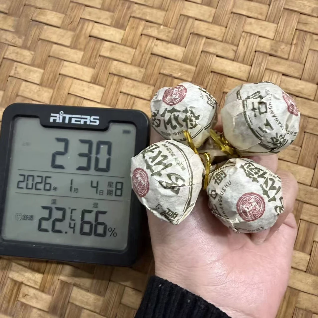 2017年哆依树龙门关茶王古树普洱生茶龙珠M55号1月4日