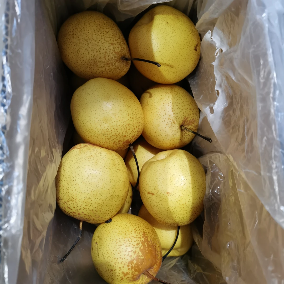 雪花梨，净果十斤