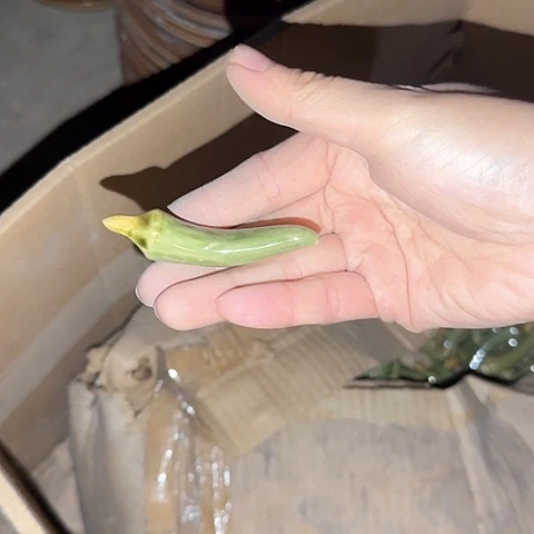 老***孙瓷片10个国营厂库存10个