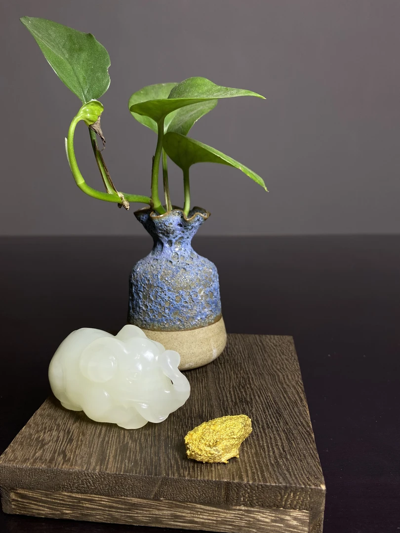 M-20:金色❤️原材料