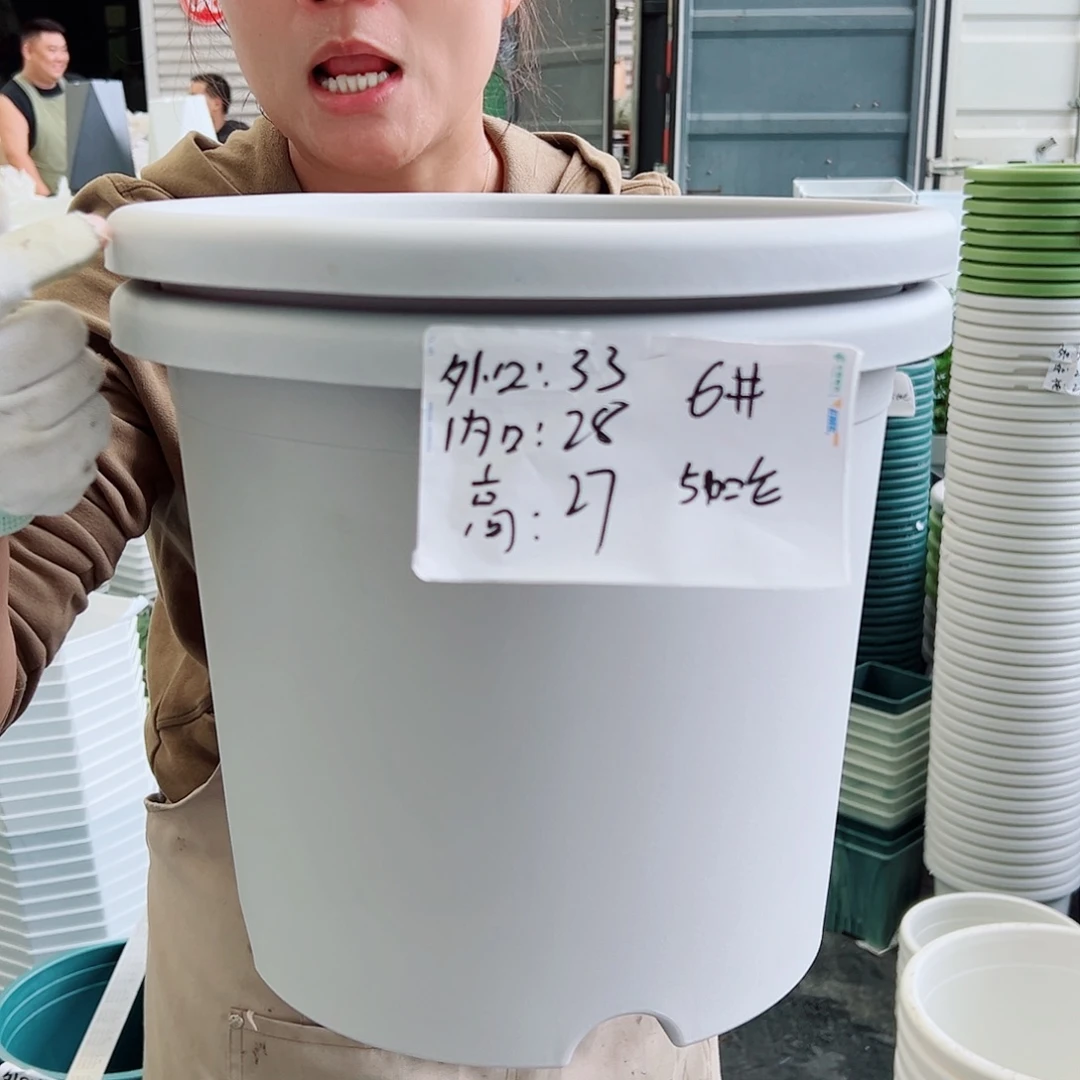 四季盆6#灰白色5个无托