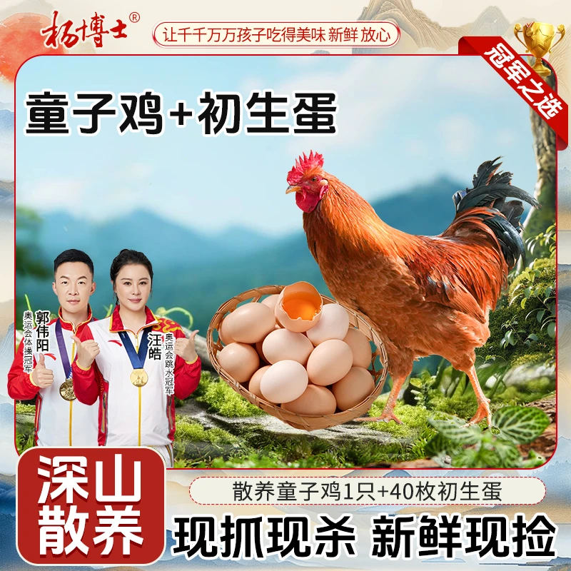 杨博士【童子鸡+40枚初生蛋】皖南土鸡深山散养童子鸡+土鸡蛋初生蛋