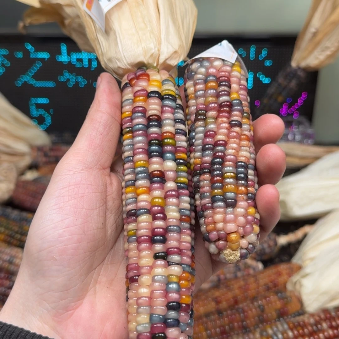 柏香籽/百香籽吊坠.*