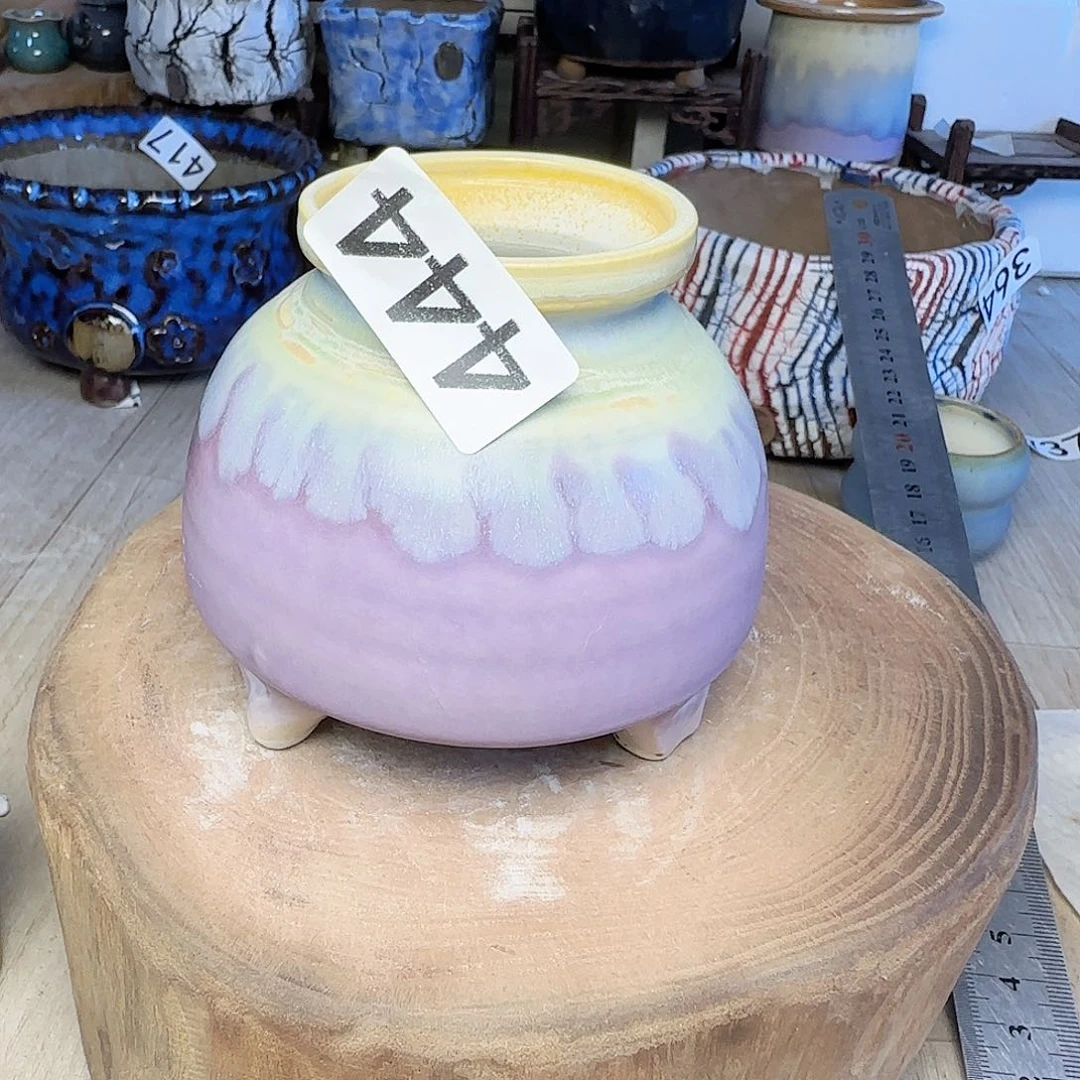 手工制作手工制作安*彤