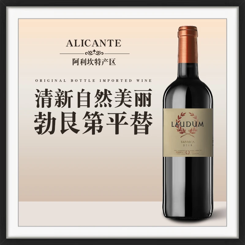 勃艮第平替清新自然！罗顿珍藏红葡萄酒 西班牙原瓶进口 750毫升