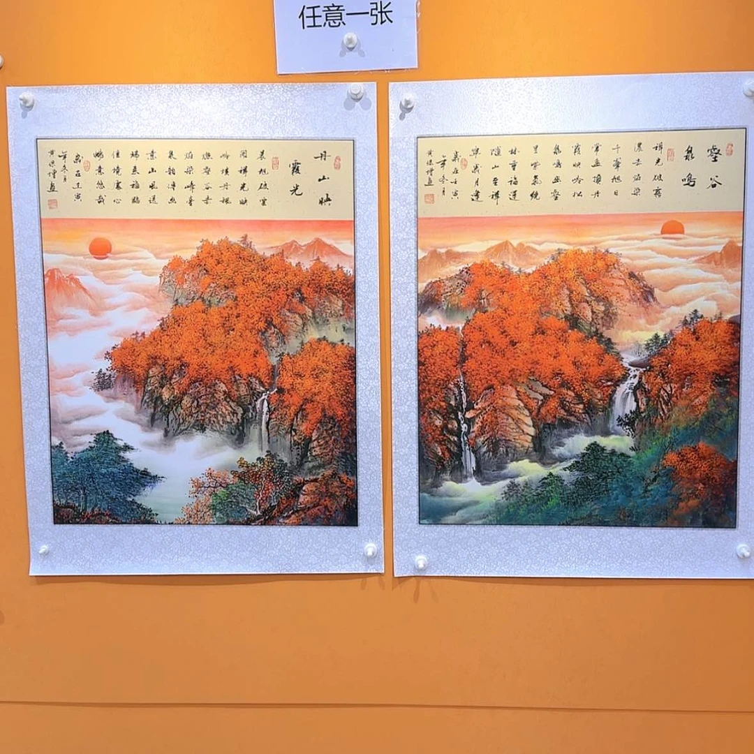 【闪购商品】国画书法作品欣赏，书法作品欣赏