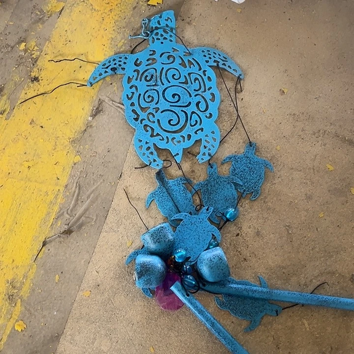 可爱琦琦哈哈哈哈