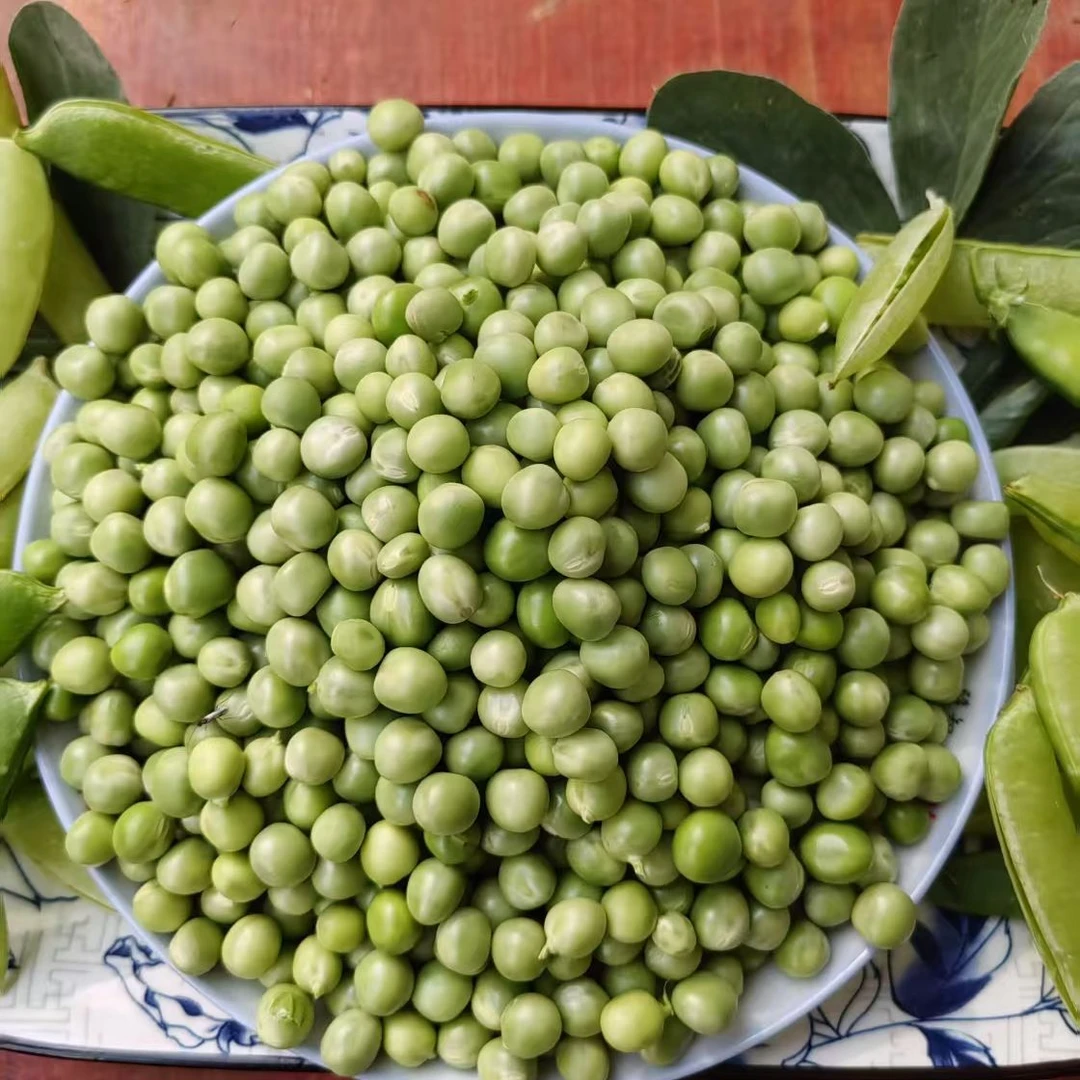 新鲜现摘粒甜脆可口农家种植青生鲜速冻甜青豆粒豌豆尖