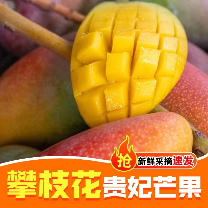 攀枝花贵妃芒果核薄肉厚香甜多汁新鲜采摘产地直发