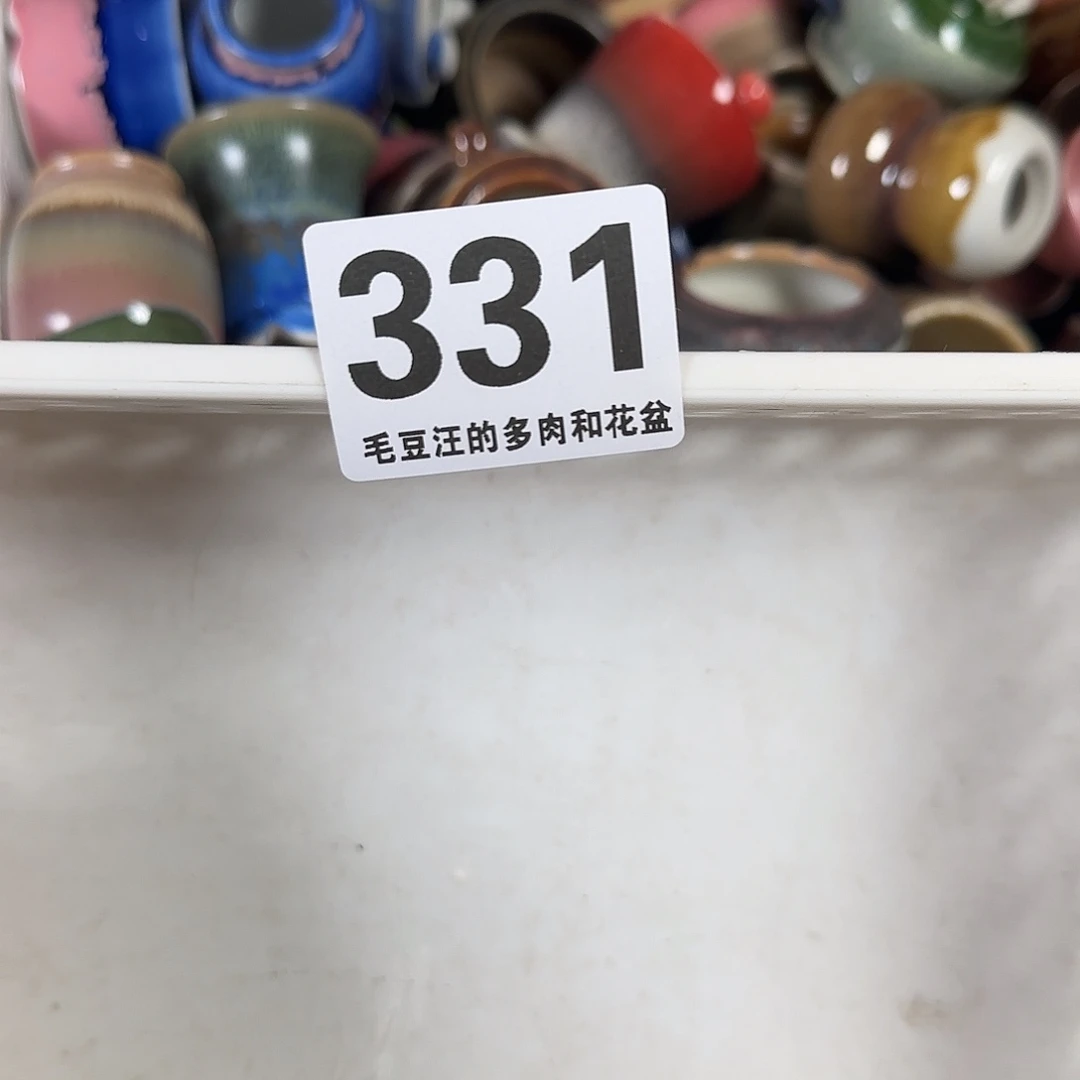 331 瑕疵特惠 六只 盆 no盆no换