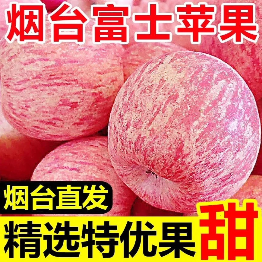 山东烟台红富士苹果产地直发新鲜脆甜多汁水果