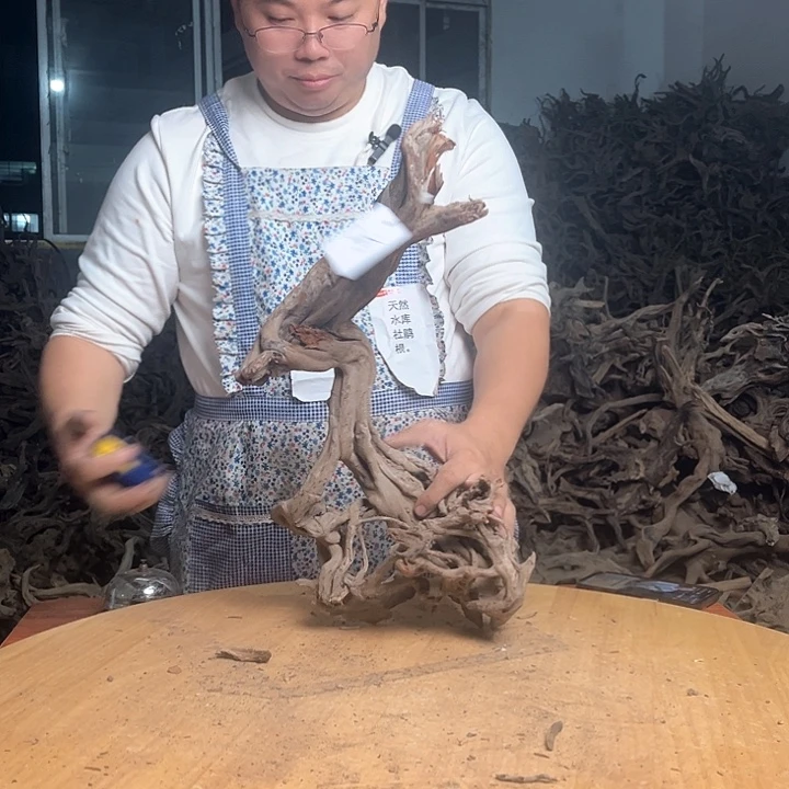 木251845 鱼缸造景根雕艺术205