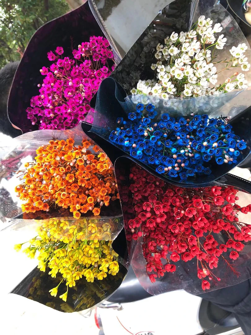 国产平头澳梅 又名腊梅昆明鲜花速递家庭水养插花（任意2单顺丰）