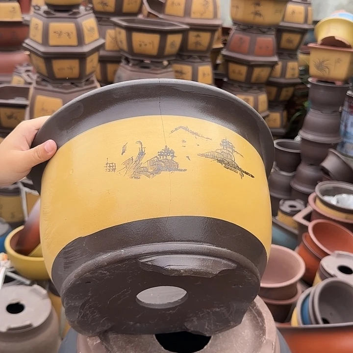 003花盆花盆花盆花盆花盆