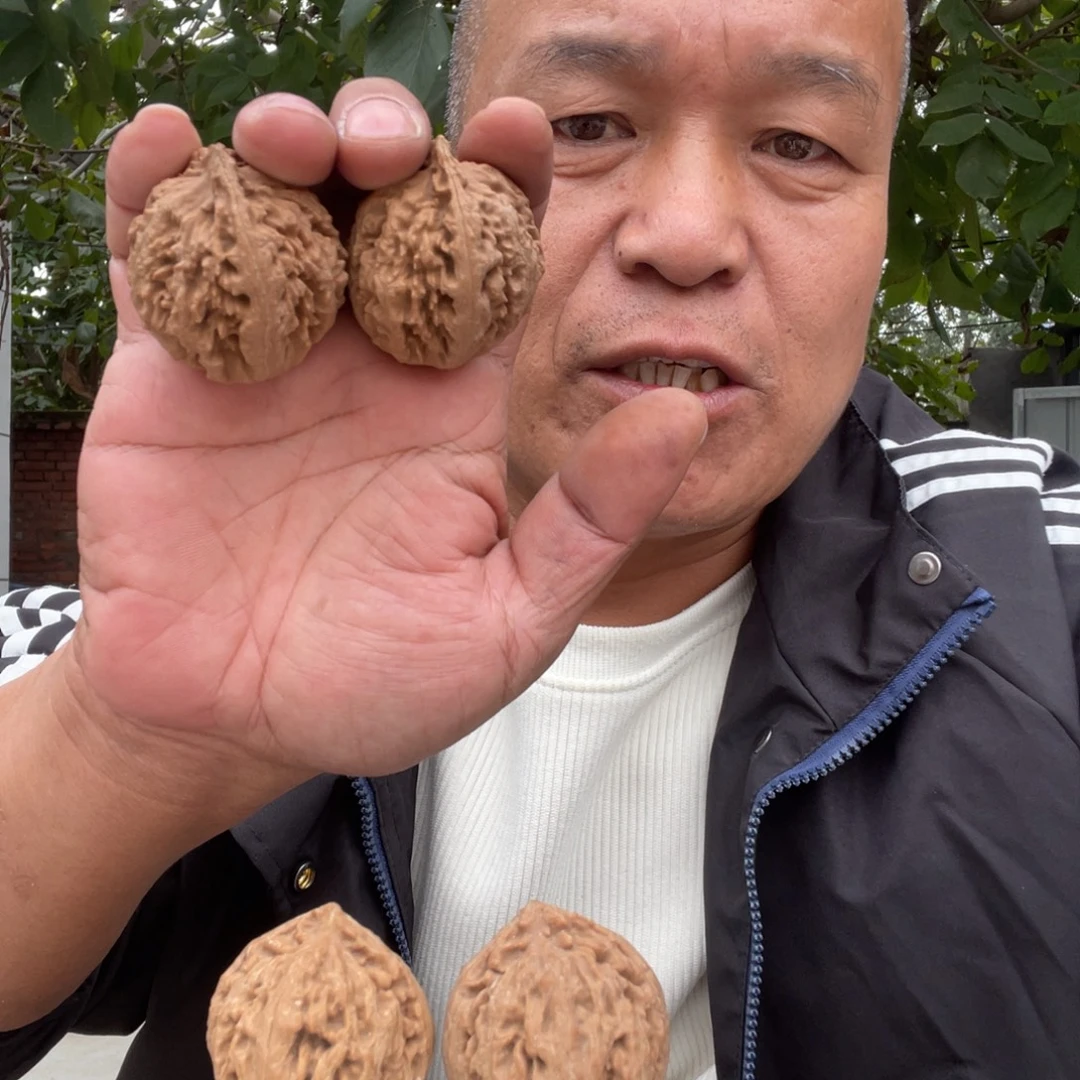 文玩核桃吊坠霸王龙40