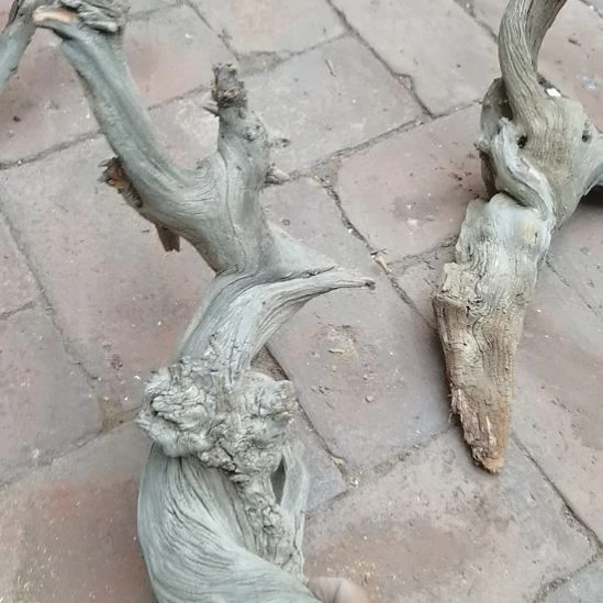 一***！柏木（崖柏）崖柏摆件。，，，，
