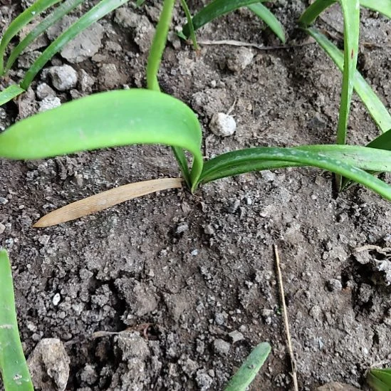 慧***慧完全开放福利_满庭芳