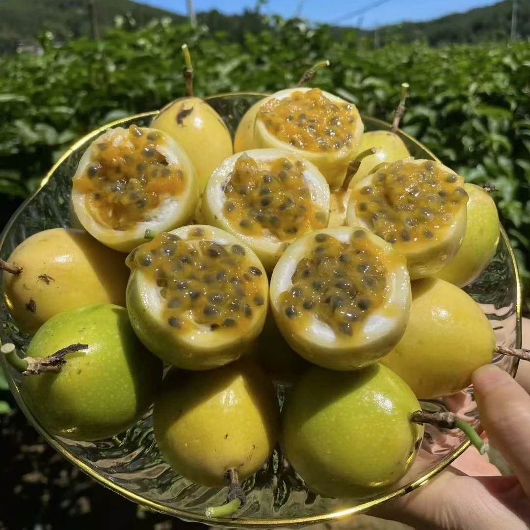云南黄金百香果大果酸甜开胃新鲜水果2斤