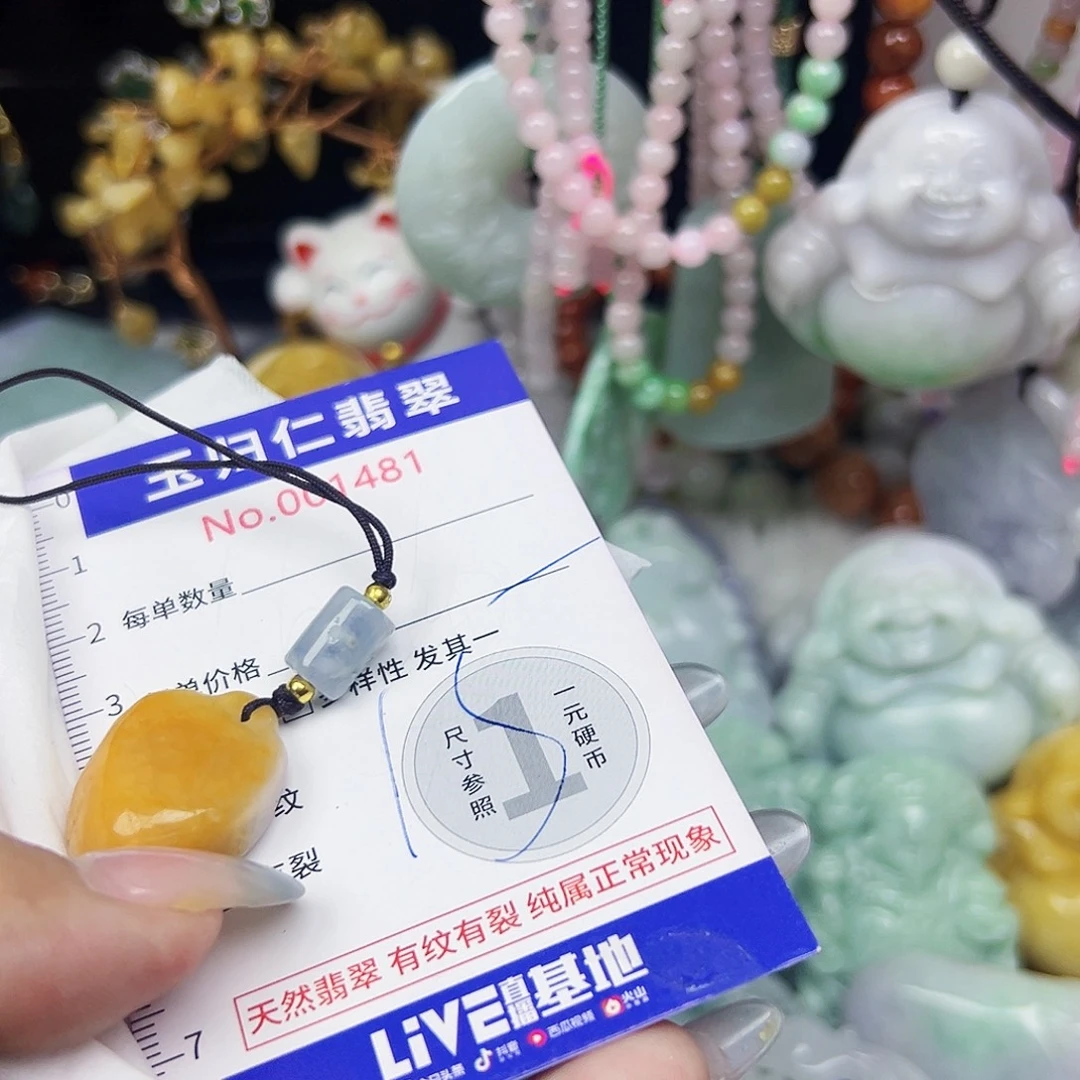 翡翠未镶嵌吊坠(不含链)111