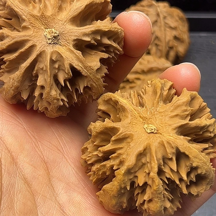 工***员核桃秦岭突突突突突突