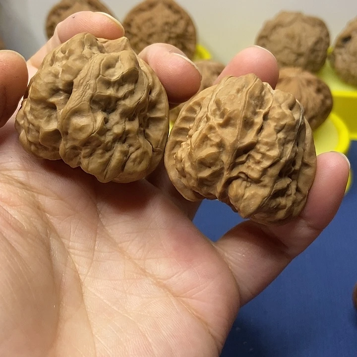 文玩核桃  蛤蟆头40