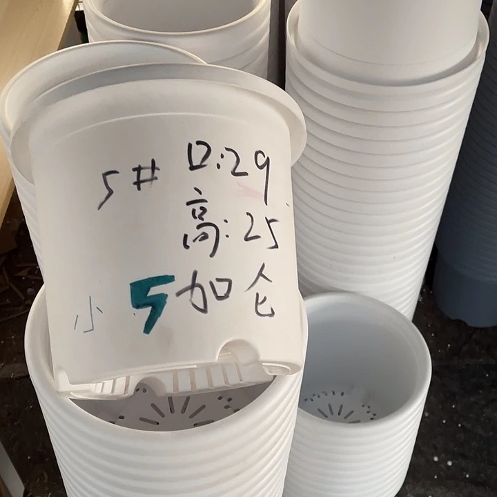 树脂长盛5号白色5个