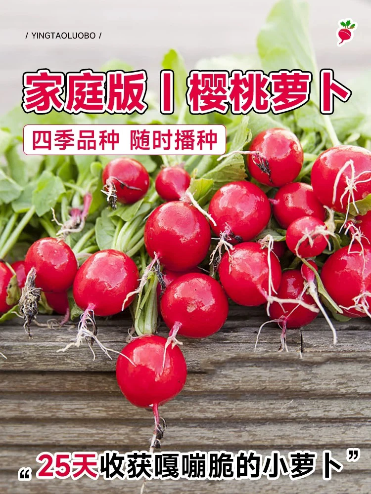水果樱桃萝卜种籽大全四季阳台盆栽凤梨萝卜种子红白小萝卜种孑苗