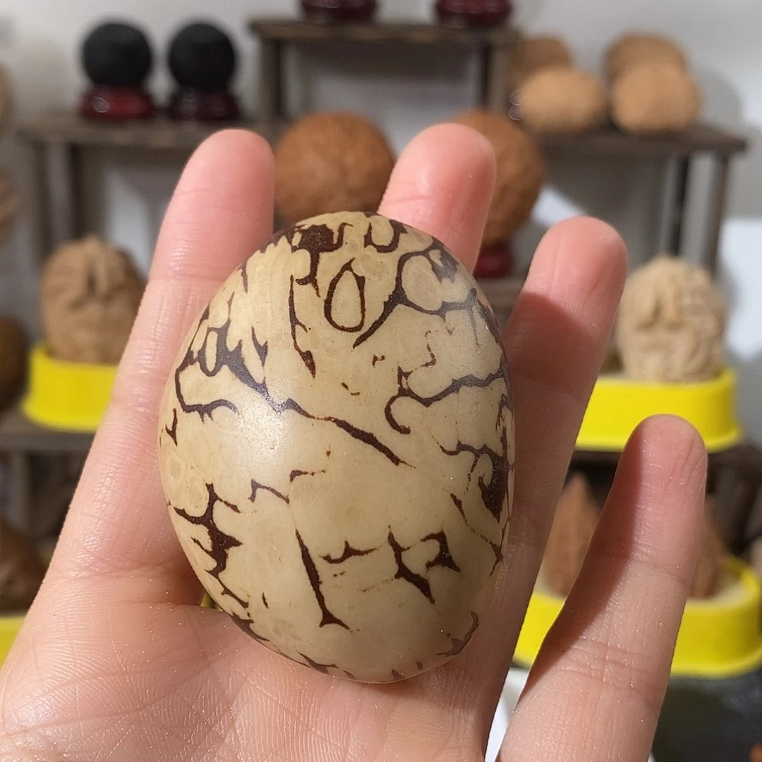 吊坠文玩核桃象牙果单颗