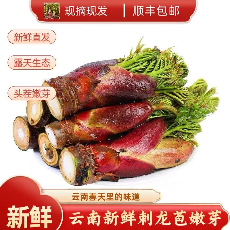 【顺丰包邮】云南新鲜刺老苞树头菜刺嫩芽农家现摘时令春菜