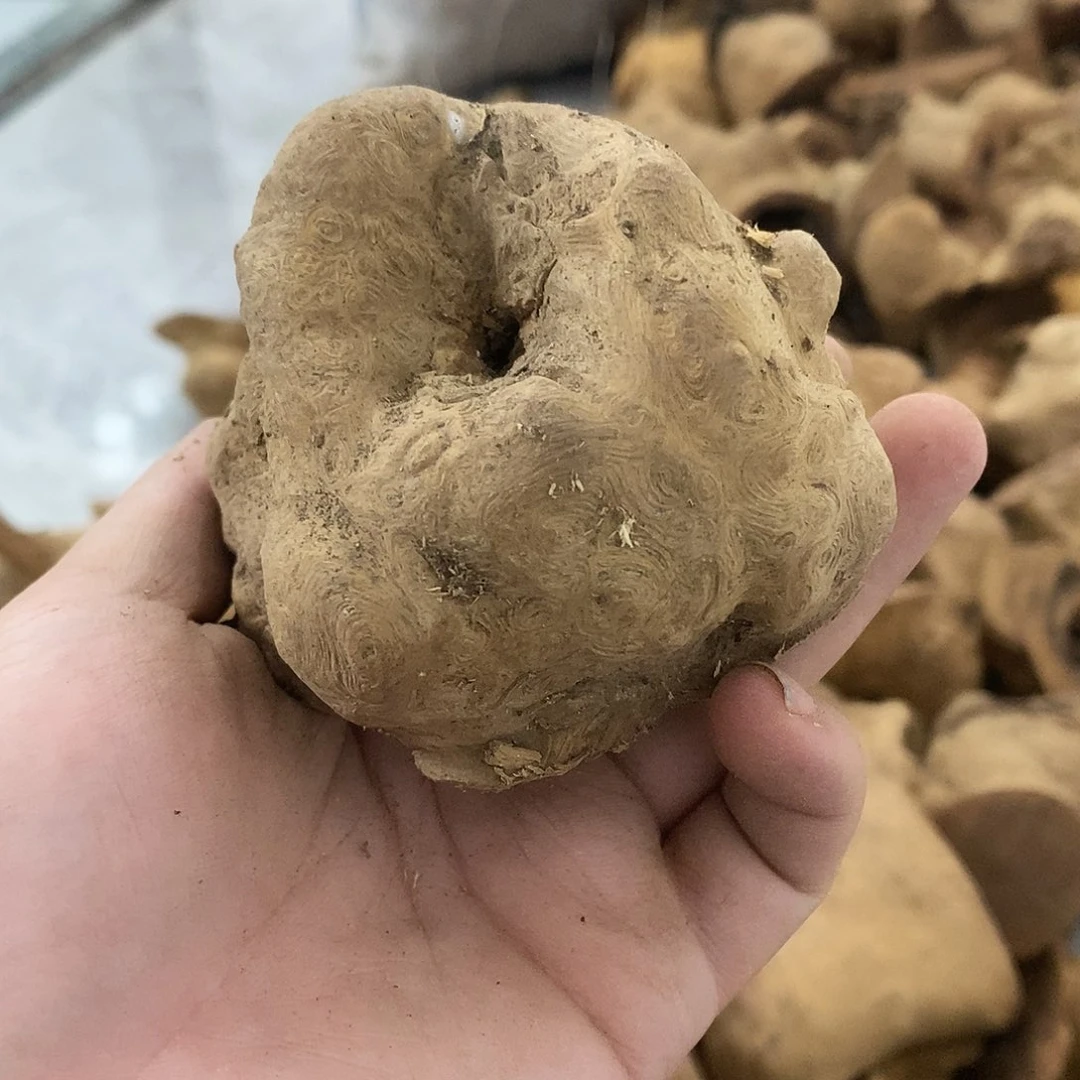 文***产荔枝木荔枝木原料