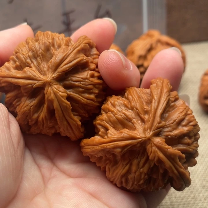 肆***拾核桃白狮子43核桃