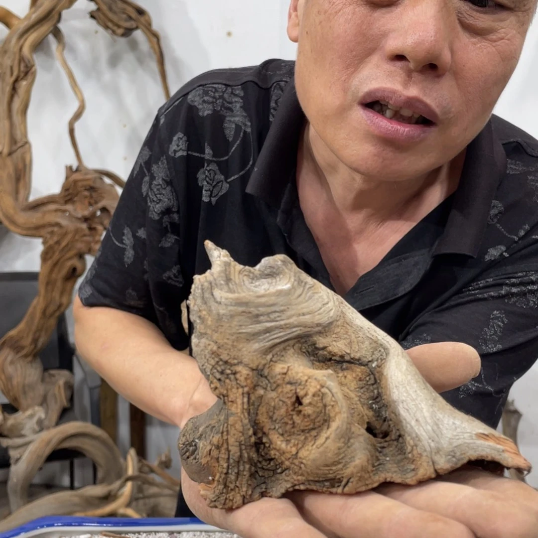 账***生我们都是好孩子啊