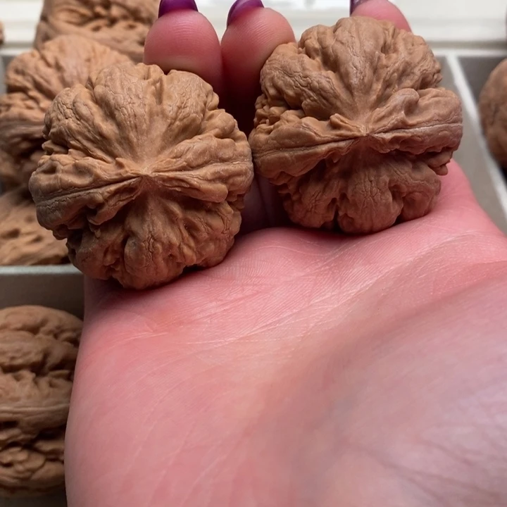 不***红文玩核桃手串霸王龙