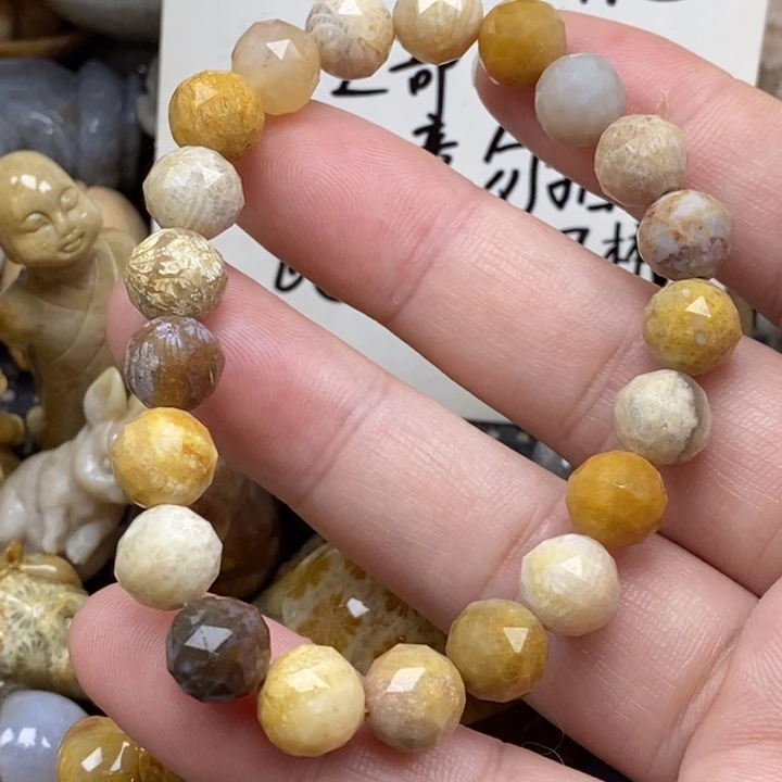 硅化珊瑚（珊瑚玉）未镶嵌颈饰