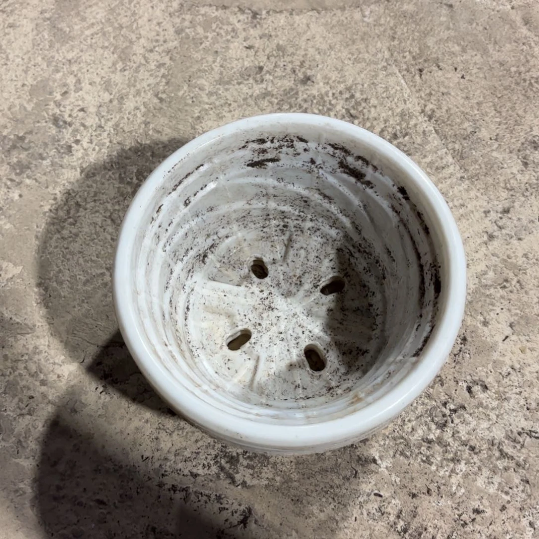 白色螺旋盆170口径发40个