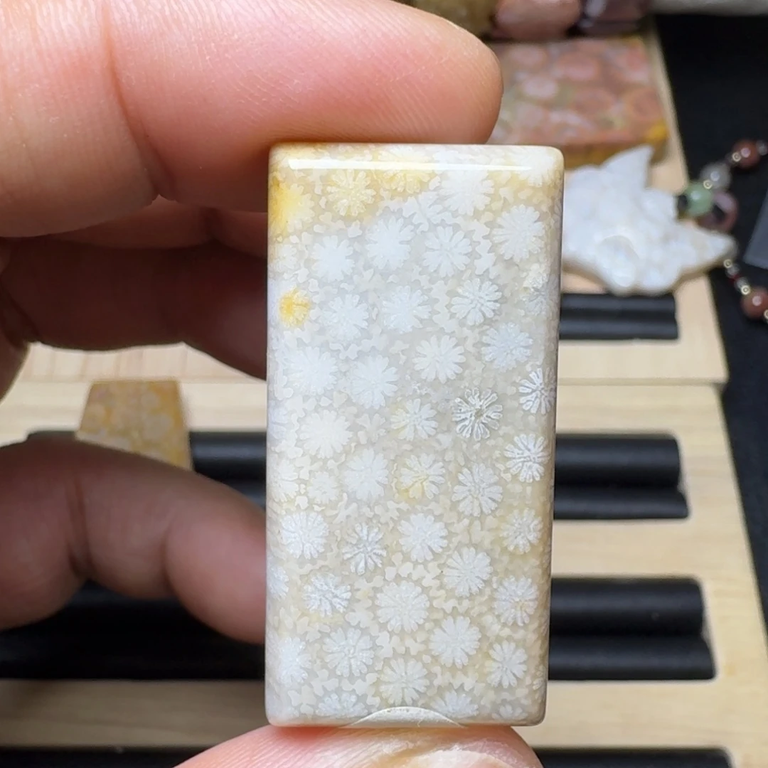 未镶嵌纯天然色有机玉石保真色硅化玉