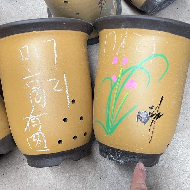 红陶紫砂紫砂紫砂