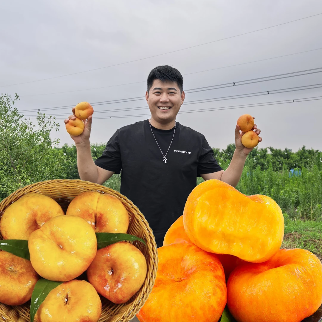 【彩虹蟠桃】自家果园现摘现发包邮新鲜水果桃子脆甜多汁5斤