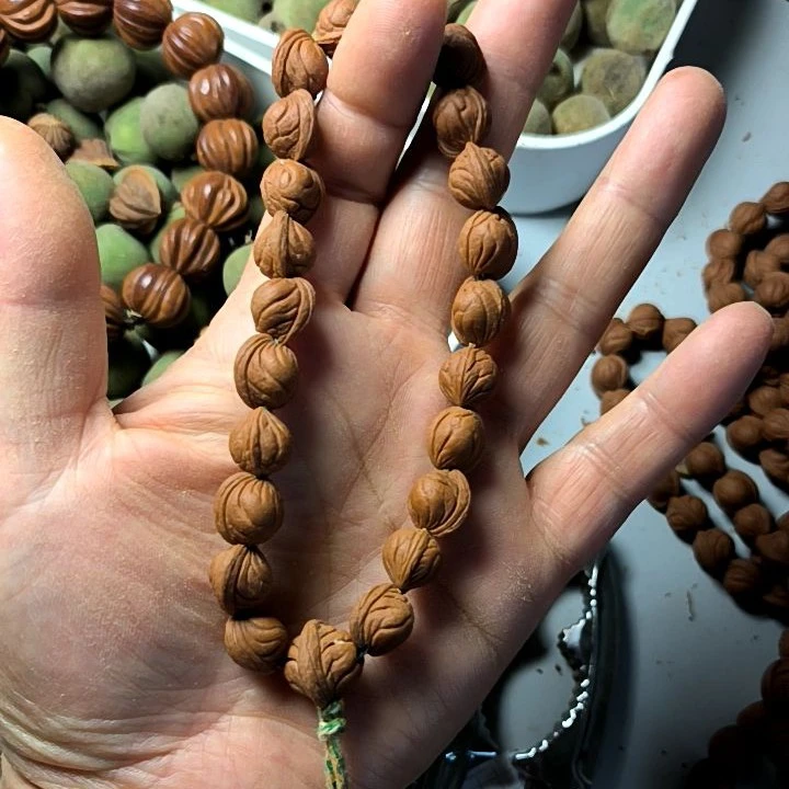 秦岭龙纹桃核小龙纹10尺寸手串20颗原皮原色一刀未动