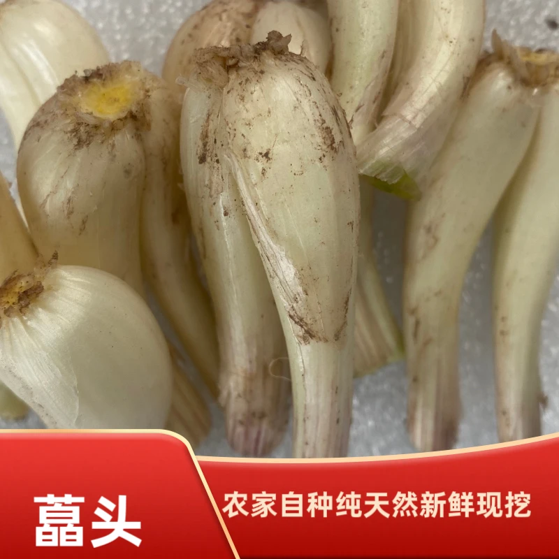 藠头鹅把腿农家自种新鲜现挖现发（大小混装）