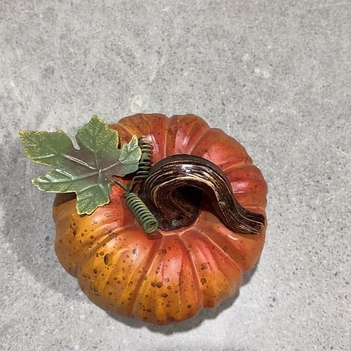 瓷片样品样品样品哟叶子南瓜