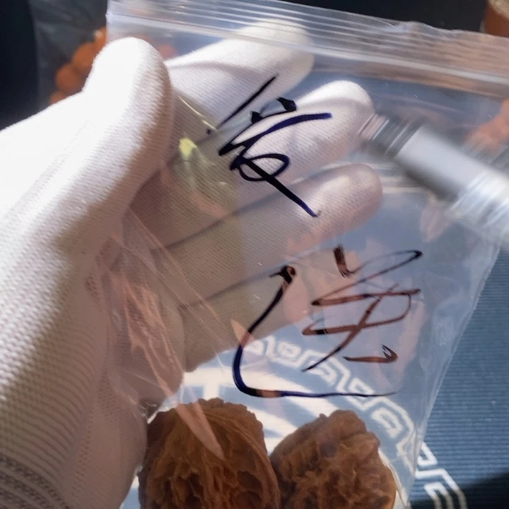 文玩核桃手串爱**心…………