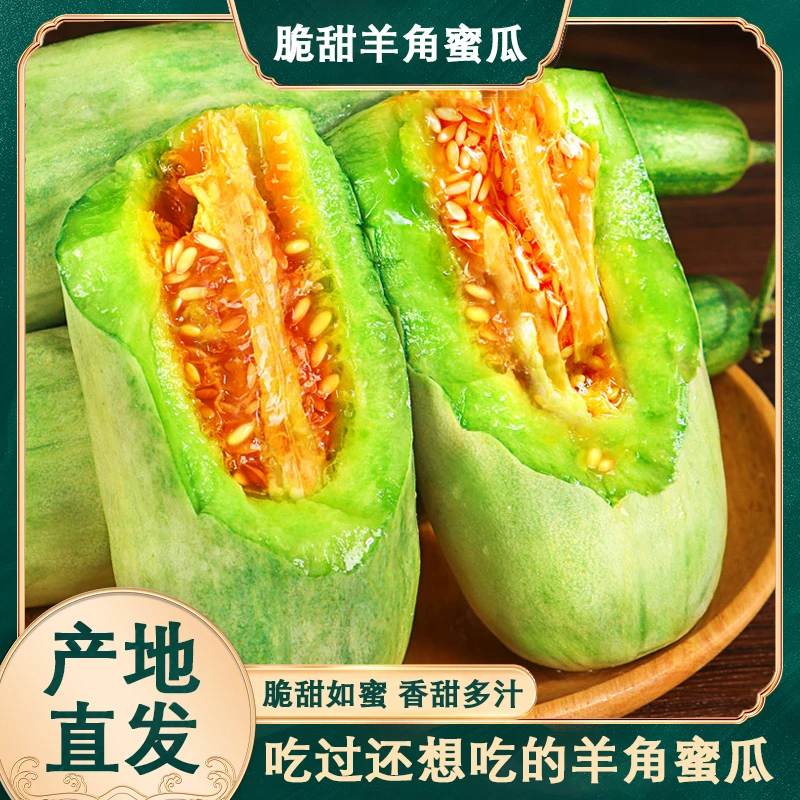 【坏果包赔】头茬正宗山东羊角蜜甜瓜脆甜多汁现摘现发老少皆宜