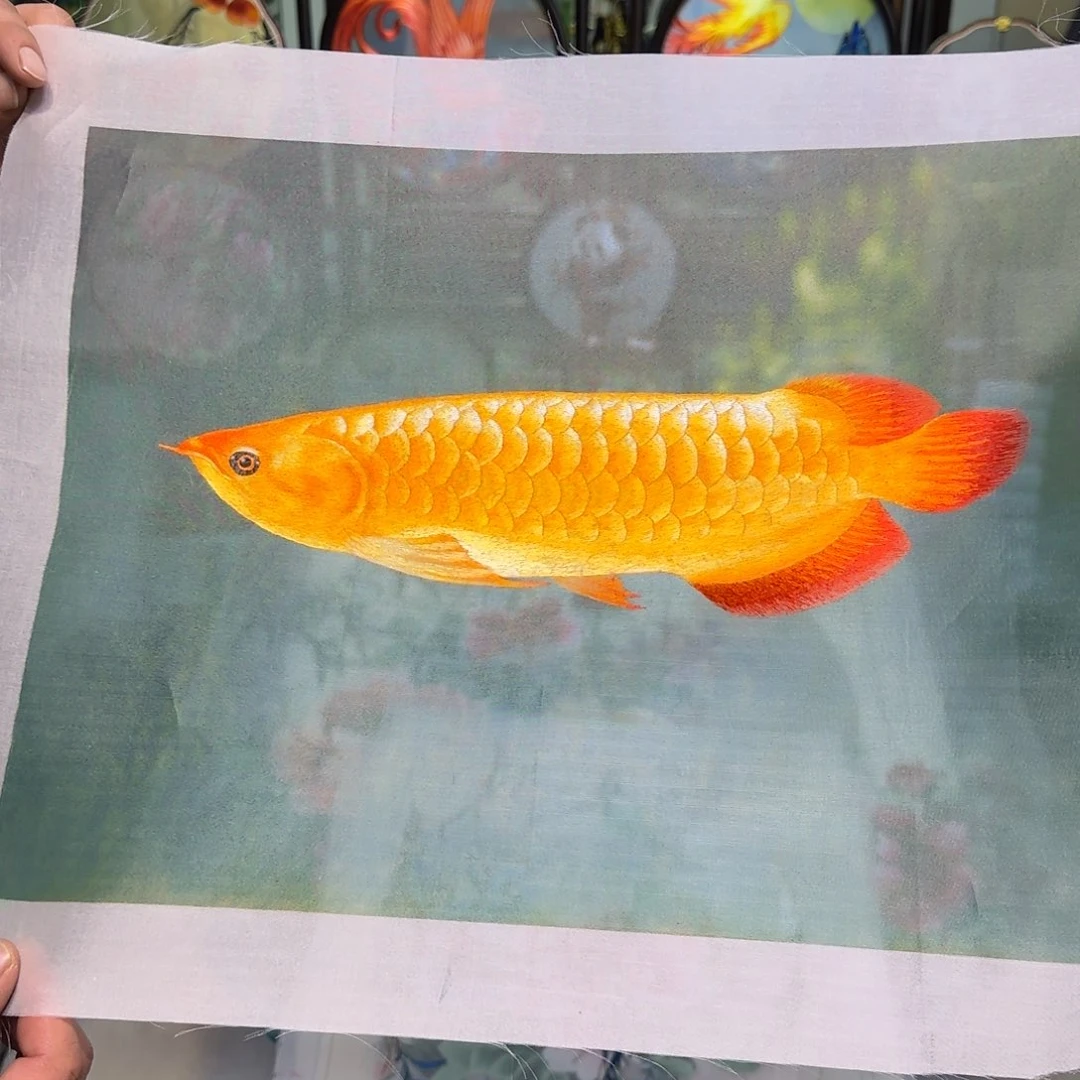 刺绣刺绣工艺精湛