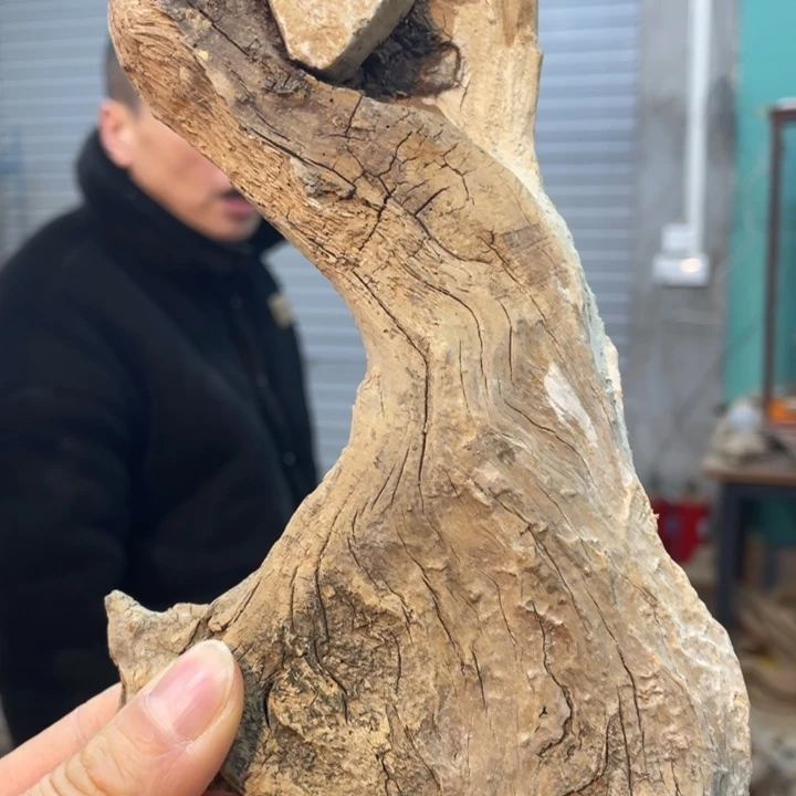 王我们都是好孩子呀