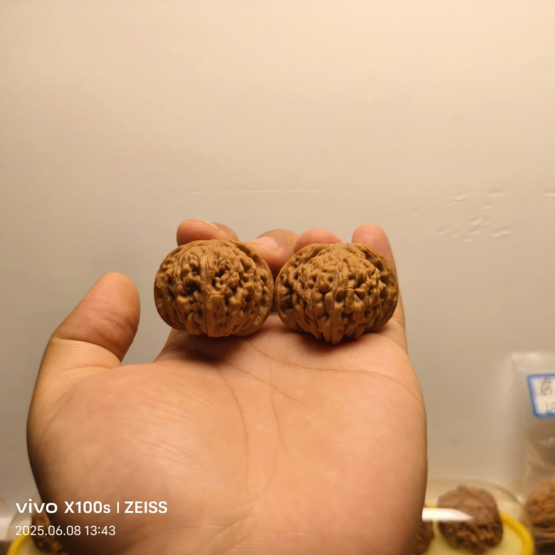 山西一代汉高楼，新人福利款