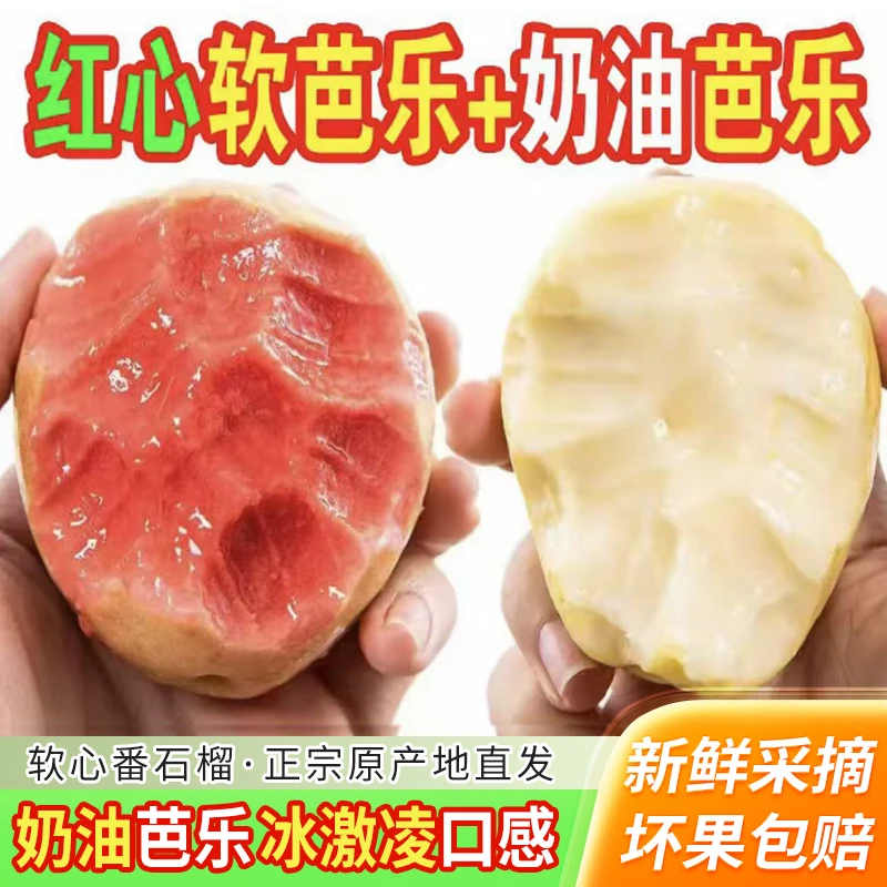 【红白双拼口感】正宗广西红心芭乐番石榴当季新鲜水果红心芭乐