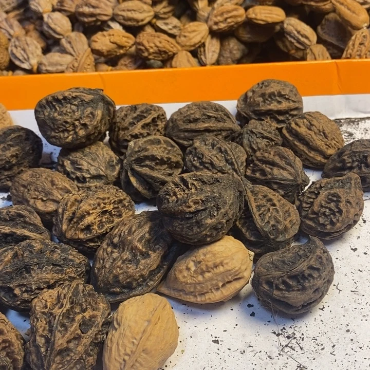 八***桂文玩核桃吊坠东北特产297