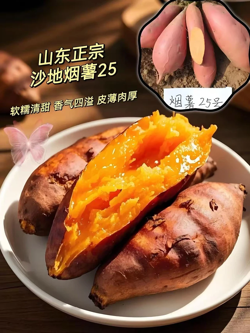 山东新鲜现挖粉糯香甜无筋黄心板栗薯沙地番薯地瓜