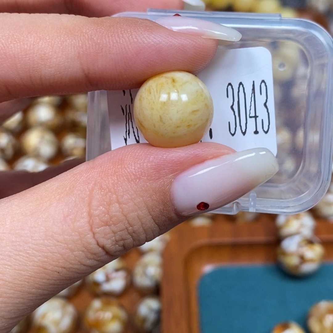 沁色蜜蜡未镶嵌3043